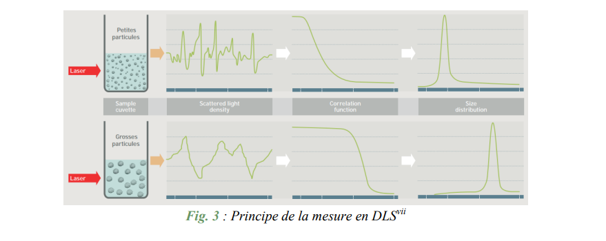 Principe de la mesure en DLS